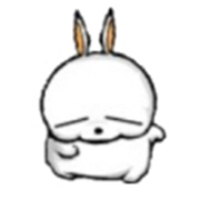Andy.Shi